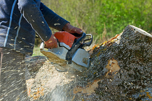 Best Lawn Mowing  in Cocoa West, FL